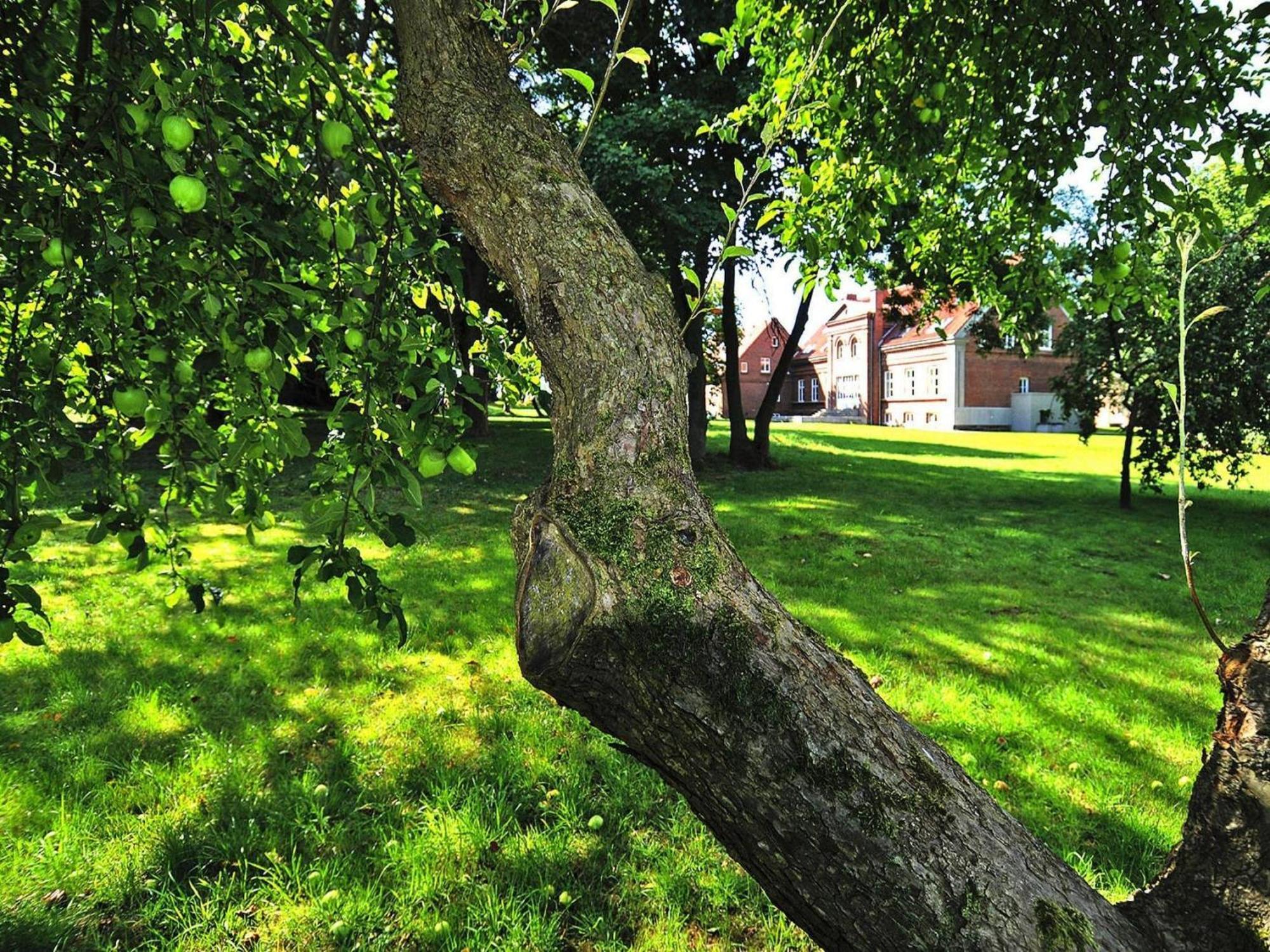 Apartment In Garz With Garden Eksteriør bilde
